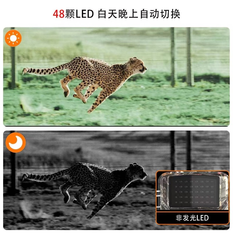 HOT SALE DL001 Hunting Camera  - Hunting Outdoor Camera ulasan dan harga