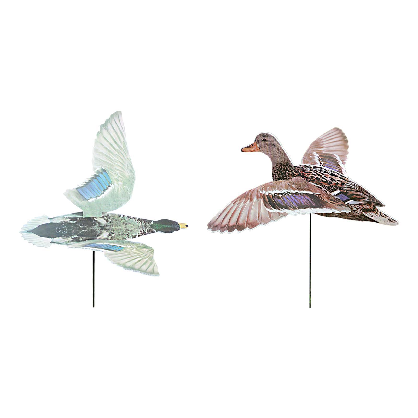 Outdoor Hunting Duck Decoy Mul - Hunting Outdoor Decor ulasan dan harga