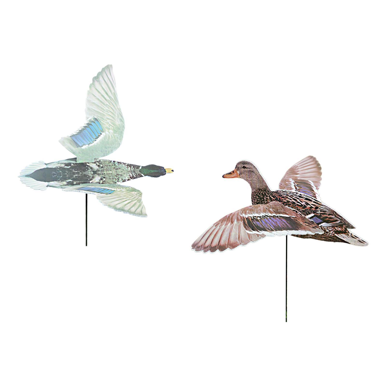 Outdoor Hunting Duck Decoy Mul - Hunting Outdoor Decor ulasan dan harga