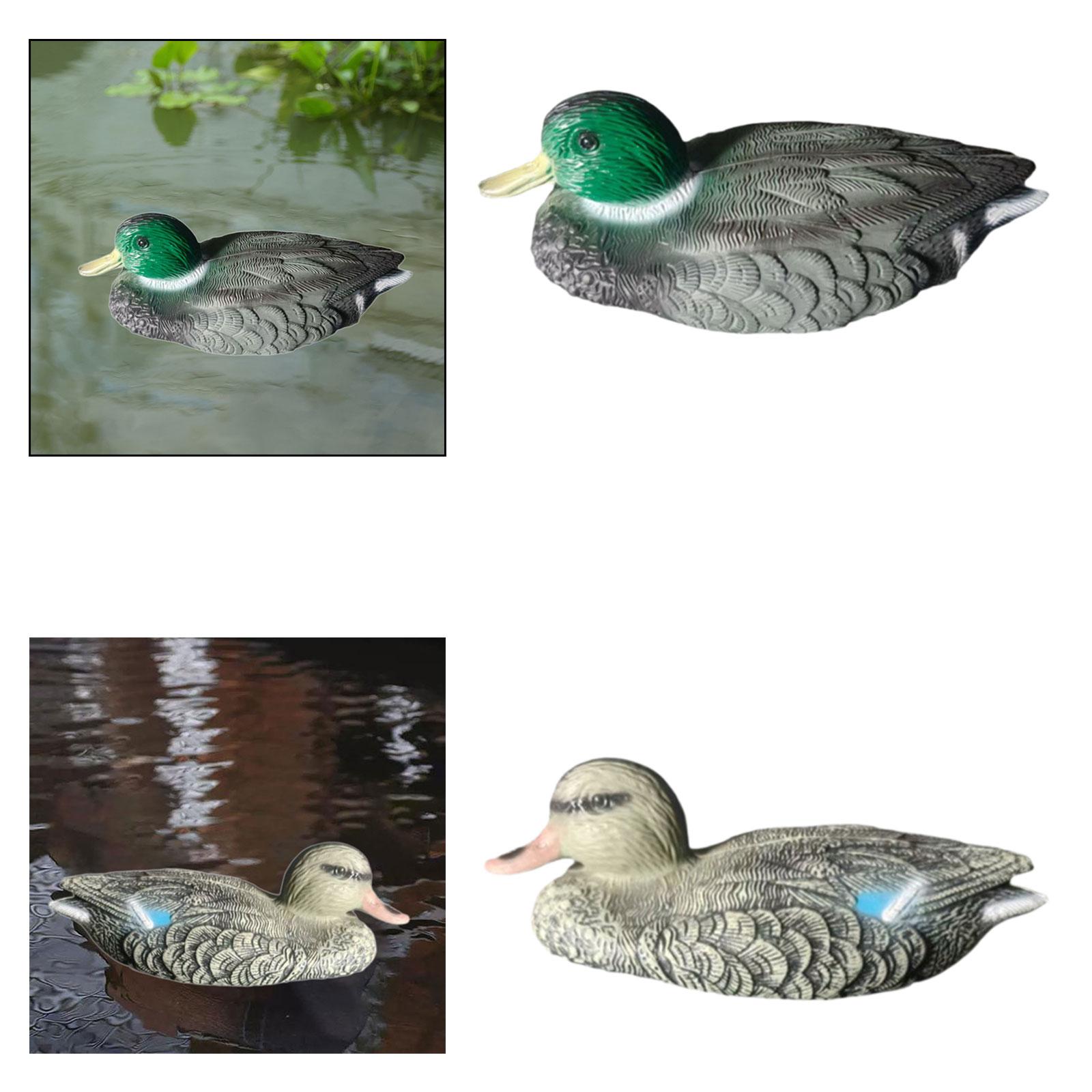 Floating Duck Decoy Realistic  - Outdoor Hunting Place ulasan dan harga