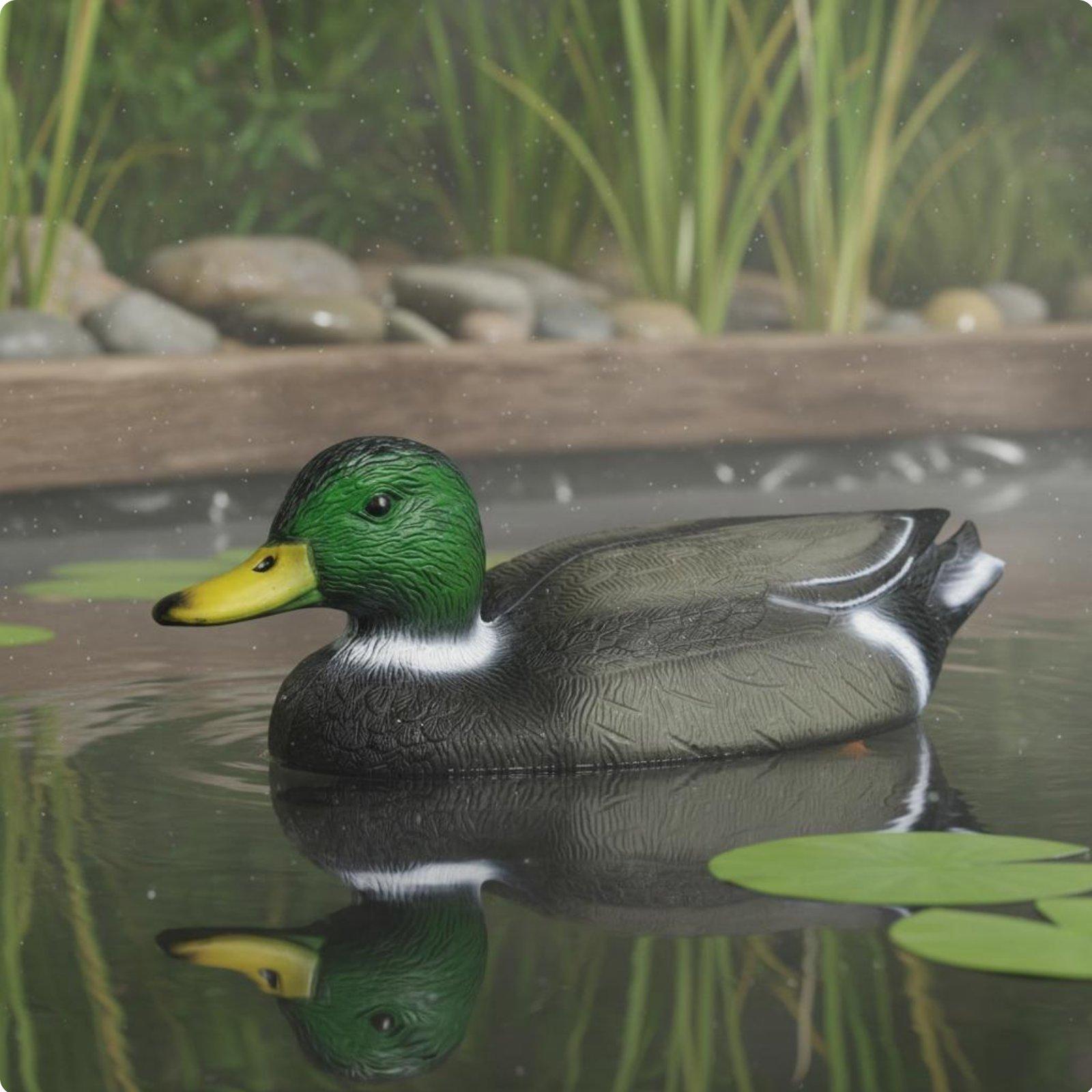 Floating Duck Decoy Realistic  - Hunting & Outdoor Supplies Vanderbijlpark ulasan dan harga