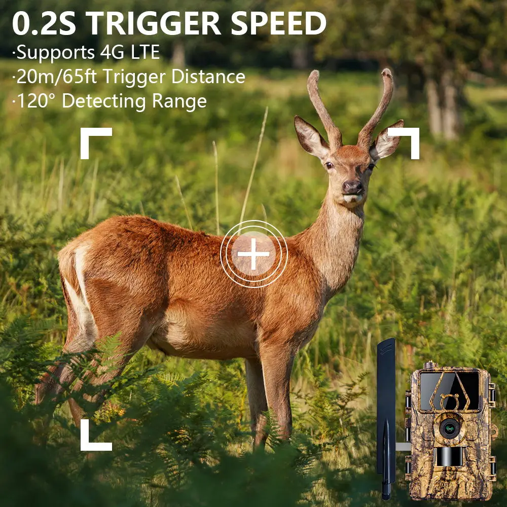 Pr801 4G Network Observation H - Outdoor Hunting House ulasan dan harga