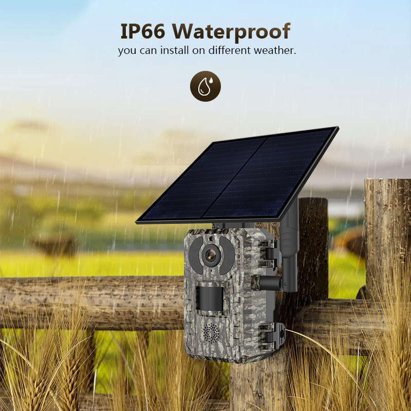 4G 4MP Outdoor Wildlife Huntin - Hunting Outdoor Camera ulasan dan harga