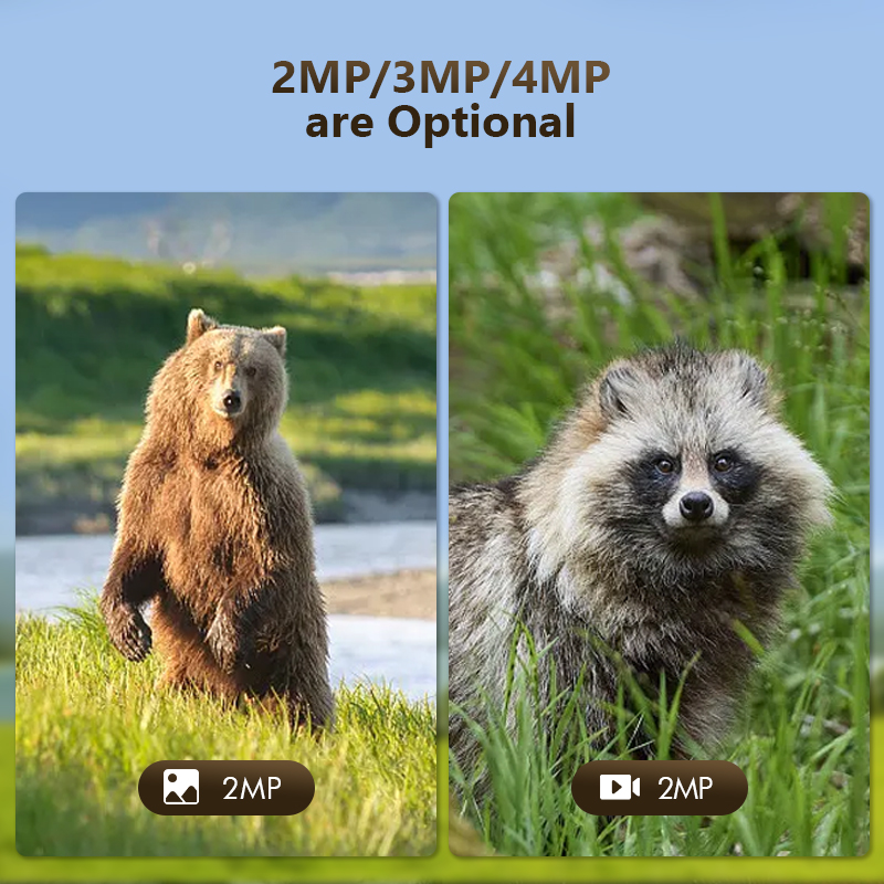 4G 4MP Outdoor Wildlife Huntin - Hunting Outdoor Camera ulasan dan harga
