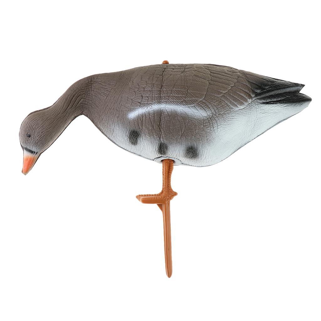 Collapsible Turkey Goose Decoy - Hunting & Outdoor Supplies Vanderbijlpark ulasan dan harga
