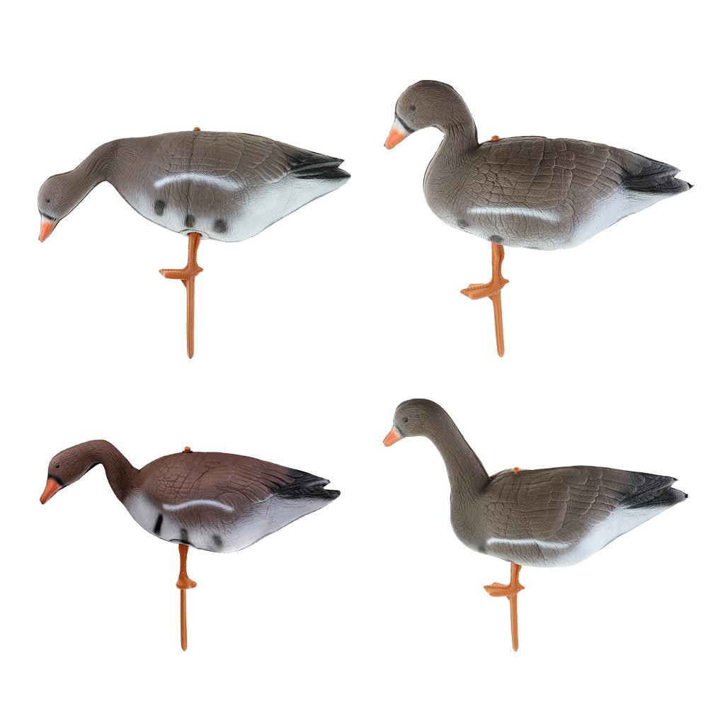 Collapsible Turkey Goose Decoy - Hunting & Outdoor Supplies Vanderbijlpark ulasan dan harga