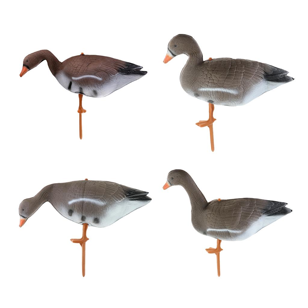 Collapsible Turkey Goose Decoy - Hunting & Outdoor Supplies Vanderbijlpark ulasan dan harga