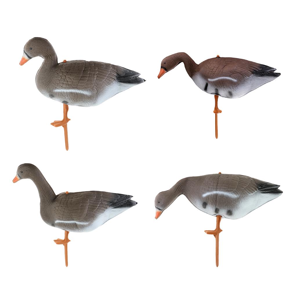 Collapsible Turkey Goose Decoy - Hunting & Outdoor Supplies Vanderbijlpark ulasan dan harga