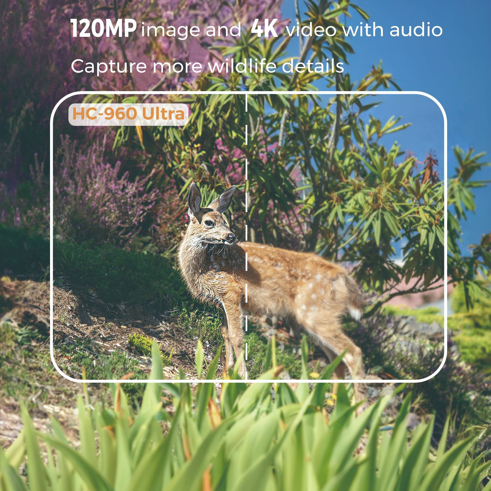 4G outdoor wildlife infrared c - Hunting Outdoor Camera ulasan dan harga